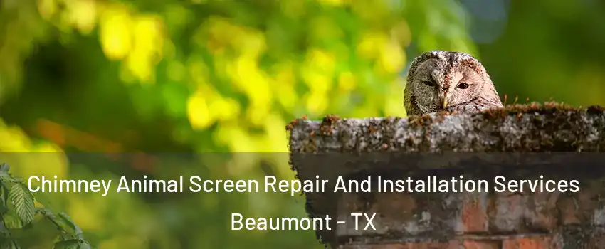  Chimney Animal Screen Repair And Installation Services Beaumont - TX