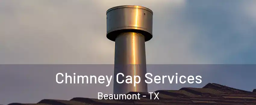  Chimney Cap Services Beaumont - TX