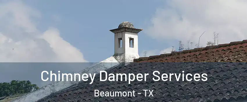 Chimney Damper Services Beaumont - TX