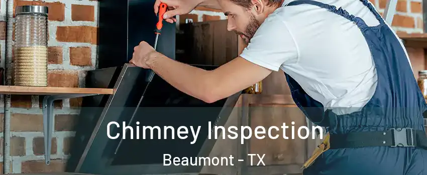  Chimney Inspection Beaumont - TX