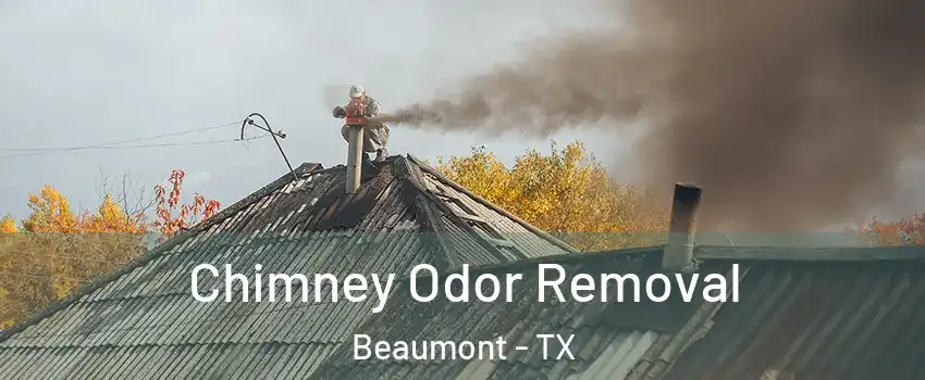  Chimney Odor Removal Beaumont - TX