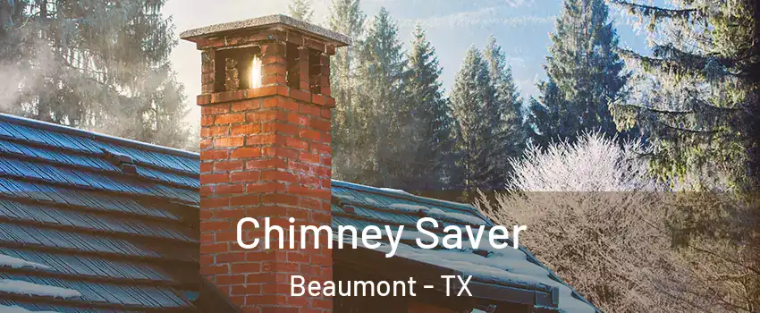  Chimney Saver Beaumont - TX