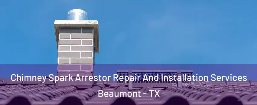  Chimney Spark Arrestor Repair And Installation Services Beaumont - TX