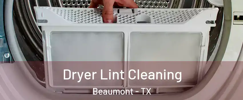  Dryer Lint Cleaning Beaumont - TX