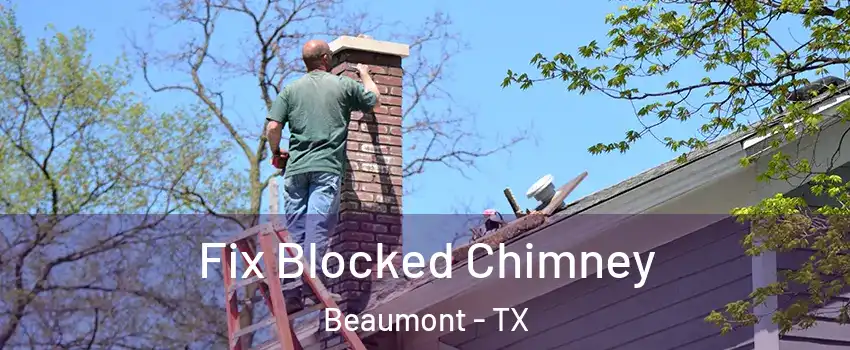  Fix Blocked Chimney Beaumont - TX
