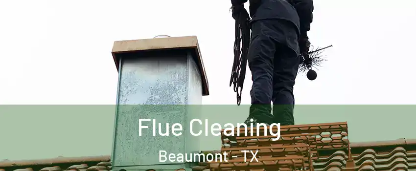  Flue Cleaning Beaumont - TX