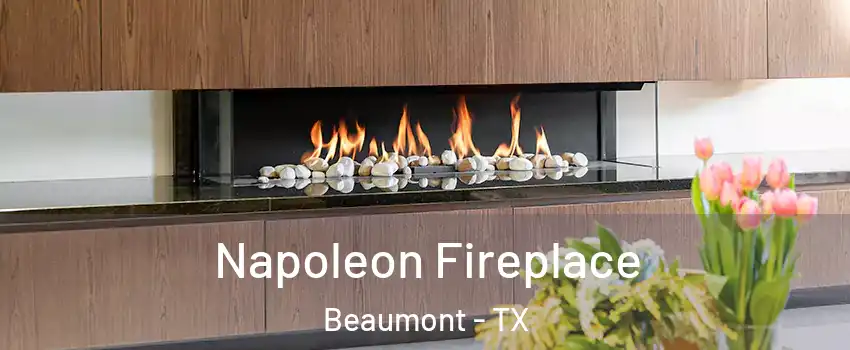  Napoleon Fireplace Beaumont - TX