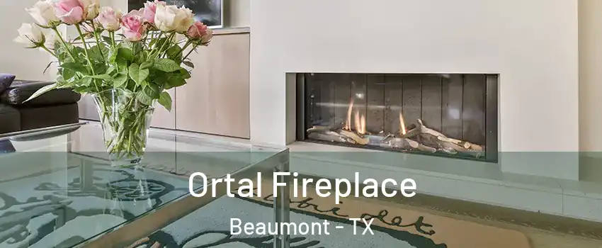 Ortal Fireplace Beaumont - TX